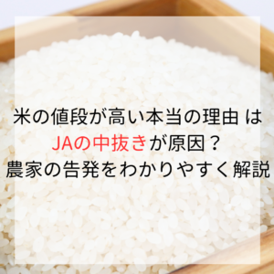 石破総理の「商品券バラマキ」問題が炎上！なぜ問題になっているの？